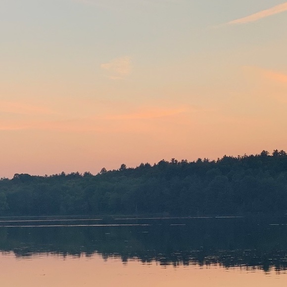 Meet your Posher, Hollie - Picture 1 of 1